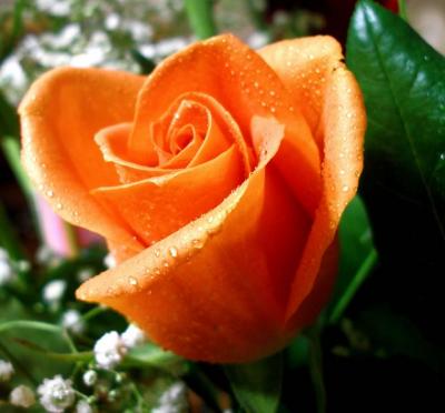 Lo que significas para mi